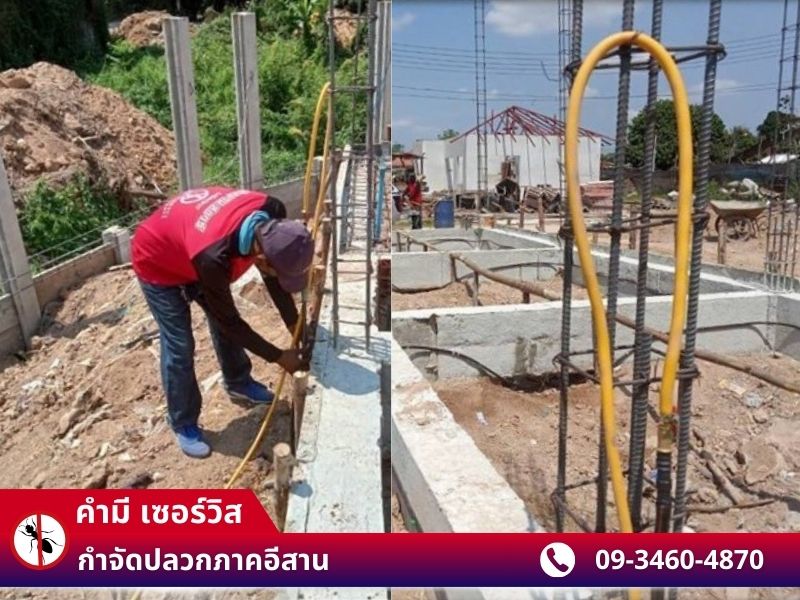 กำจัดปลวก เแมลง หนู กาฬสินธุ์ สกลนคร