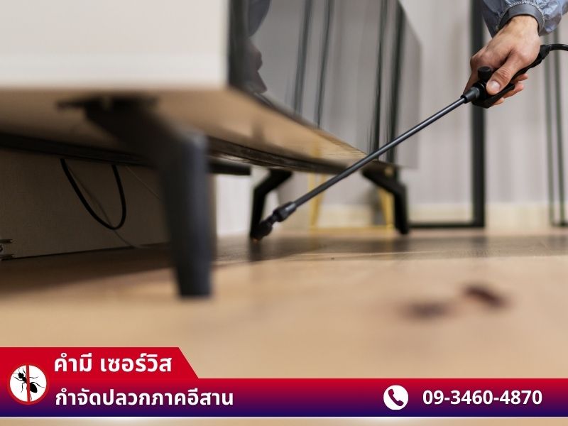 คำมี เซอร์วิส (1)