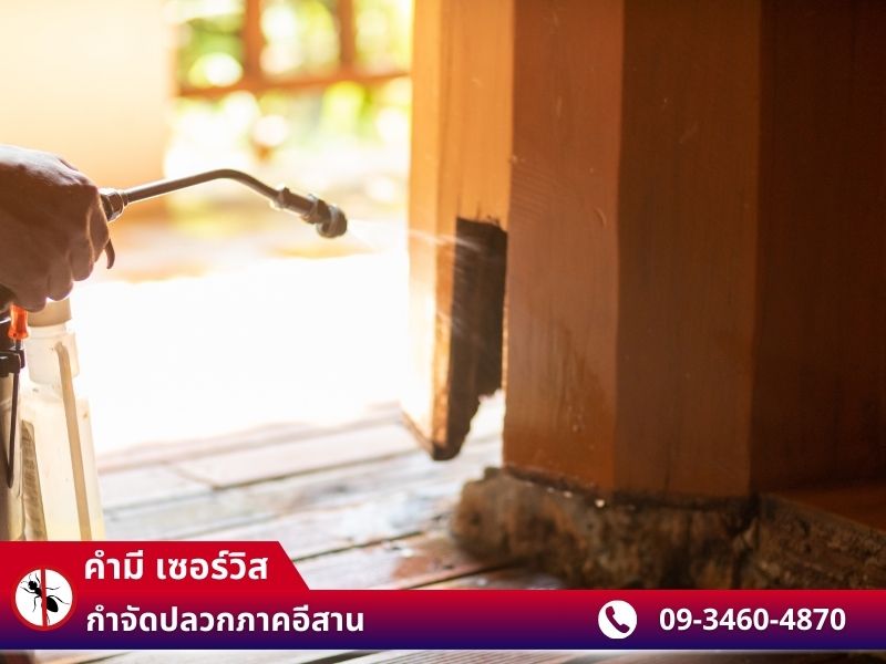 คำมี เซอร์วิส (2)