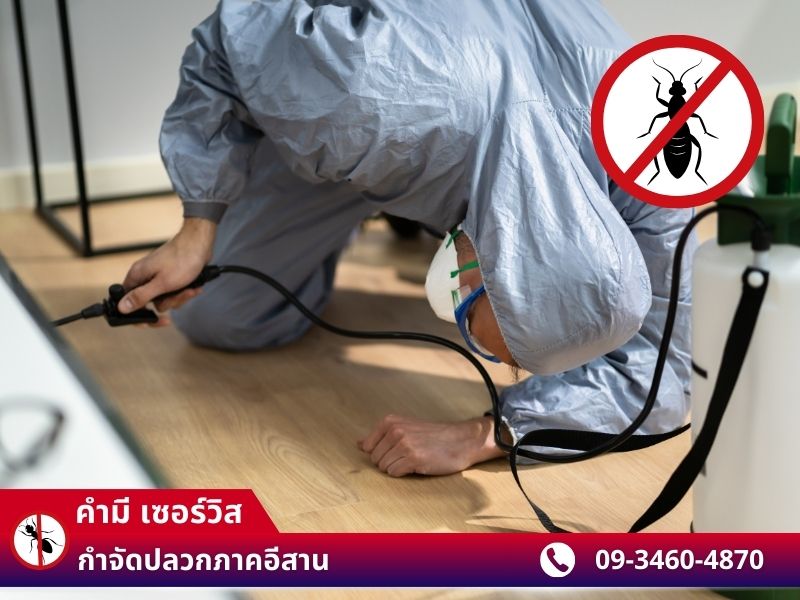 รับกำจัดปลวกมืออาชีพ ในร้อยเอ็ด